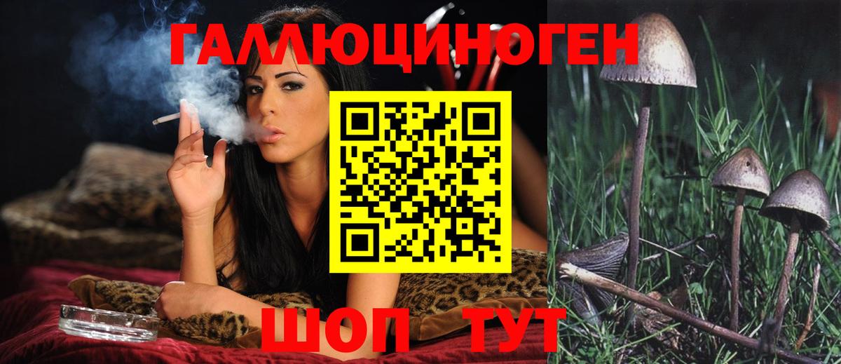 Галлюциногенные грибы Cubensis  Вход с VPN  наркотики  Мыски 