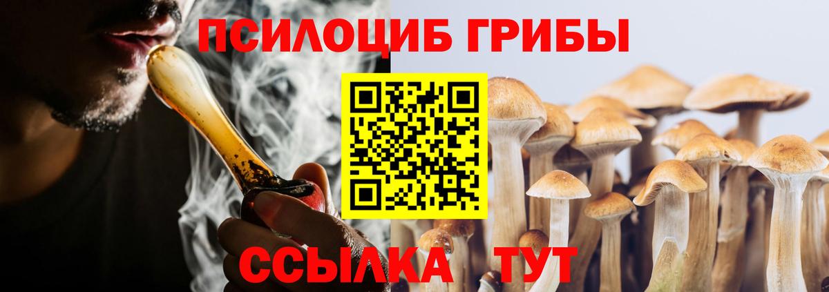 Псилоцибиновые грибы Psilocybine cubensis Мыски